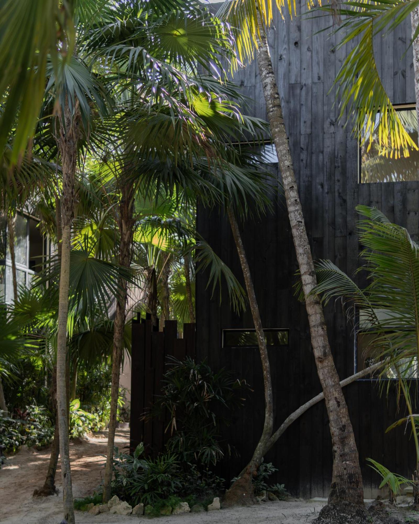 Hotel Umi Tulum Esterno foto